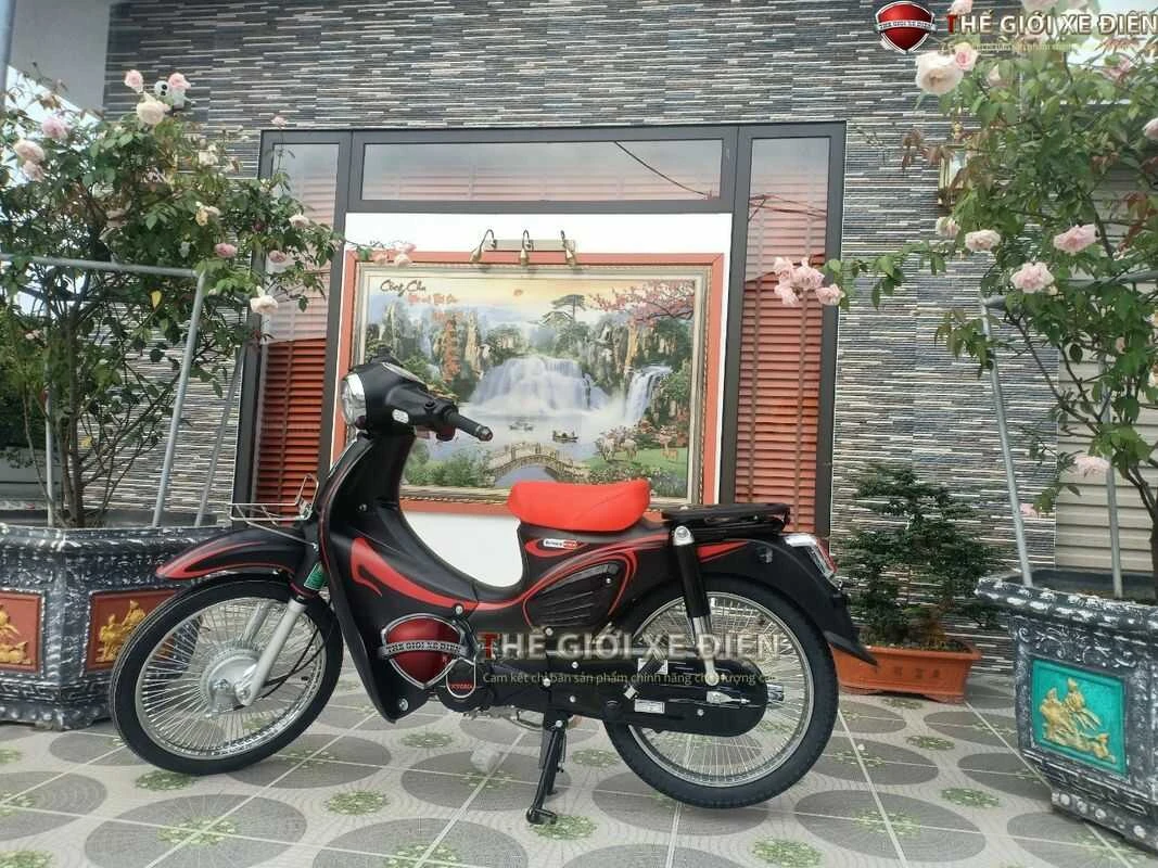 Xe Máy 50cc Cub 89 Victoria Đời Mới - Xe điện Vivu