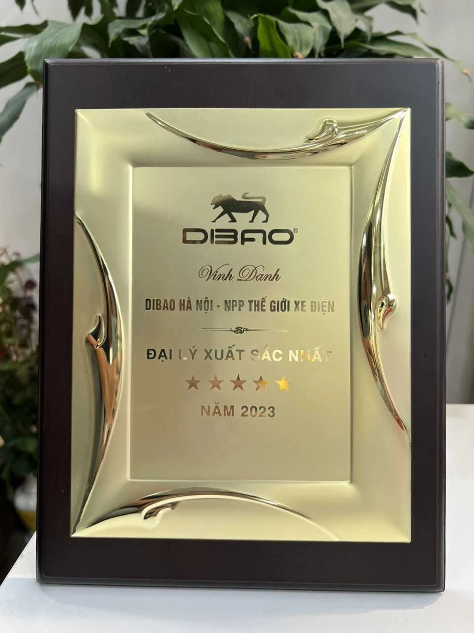 Xe Máy Điện Dibao Gogo S5 Càng Nhôm Đúc - Xe điện Vivu