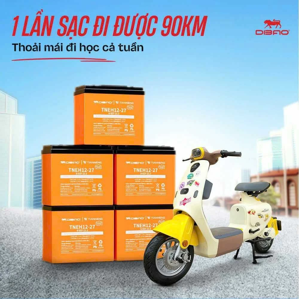 Xe Đạp Điện Dibao Hotgirl Keva (Đầy Đủ Giấy Tờ) - Xe điện Vivu