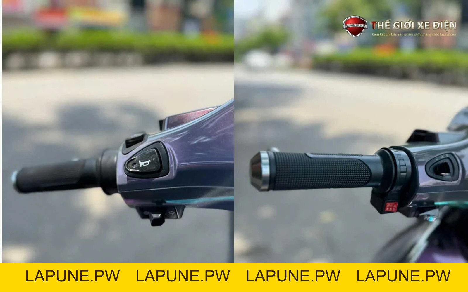 Xe Máy Điện Dibao Pansy Dio Đời Mới - Xe điện Vivu