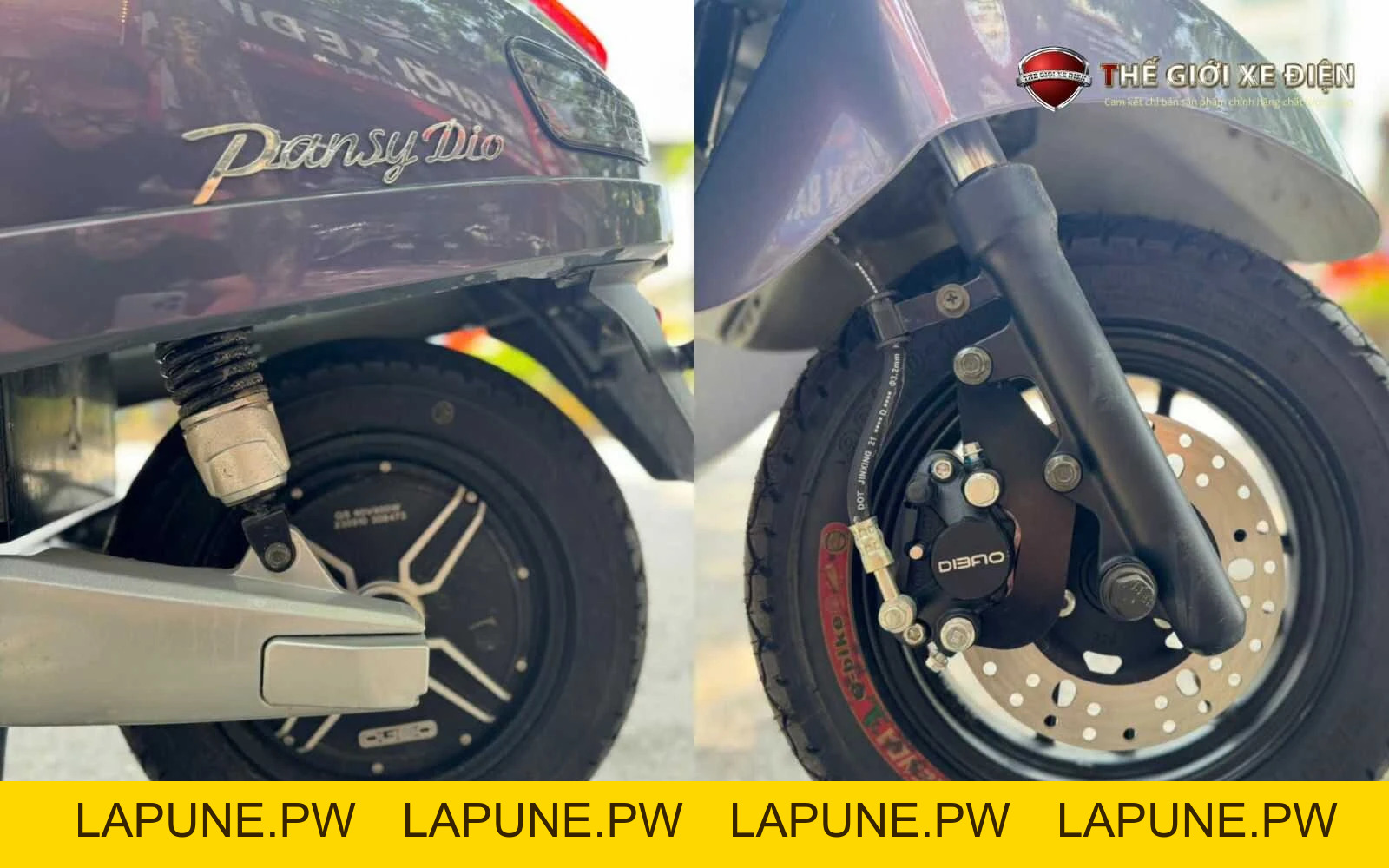 Xe Máy Điện Dibao Pansy Dio Đời Mới - Xe điện Vivu