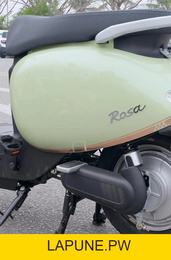 Xe Đạp Điện Dibao Rosa Thế Hệ Mới (Đầy Đủ Giấy Tờ) - Xe điện Vivu