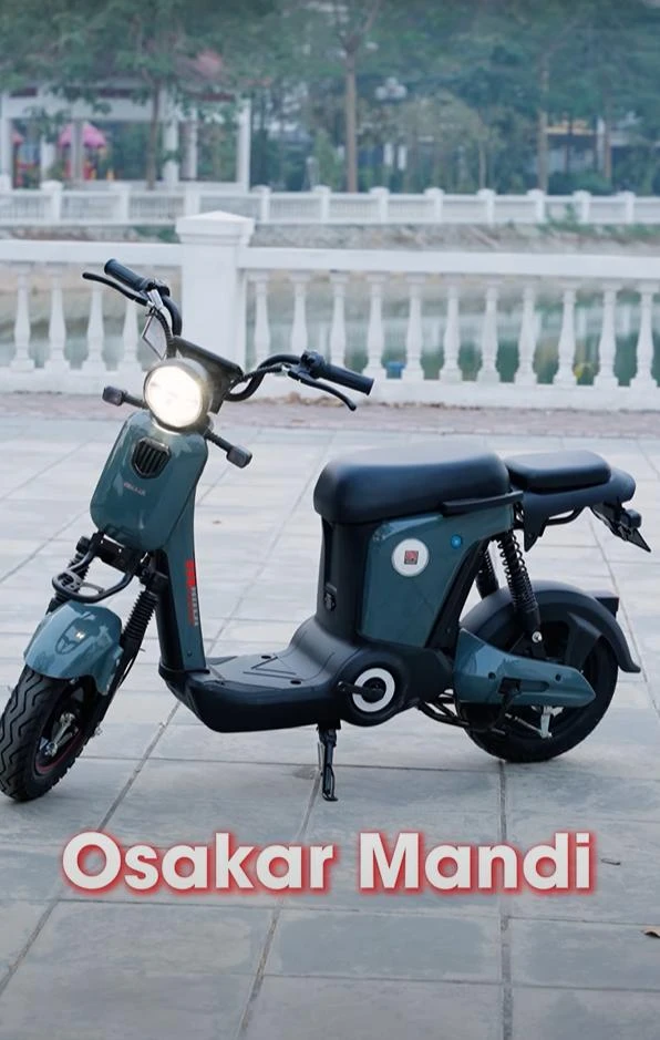 Xe Đạp Điện Osakar Mandi Đời Mới (Đầy Đủ Giấy Tờ) - Xe điện Vivu