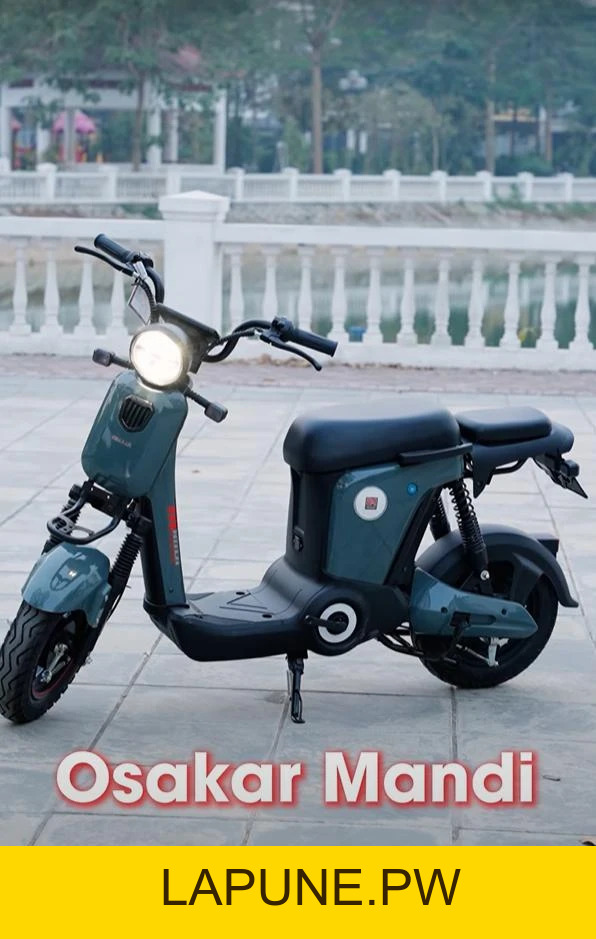 Xe Đạp Điện Osakar Mandi Đời Mới (Đầy Đủ Giấy Tờ) - Xe điện Vivu
