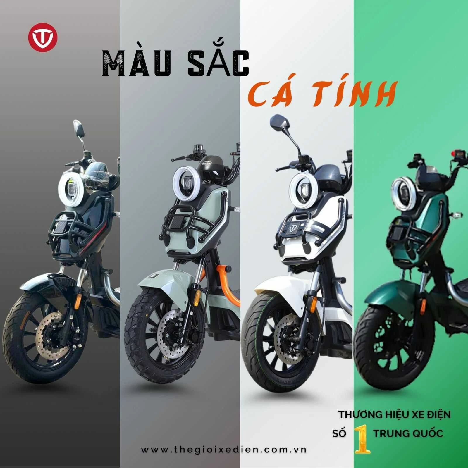 Xe Đạp Điện Tailg Discovery X51 (Đầy Đủ Giấy Tờ) - Xe điện Vivu