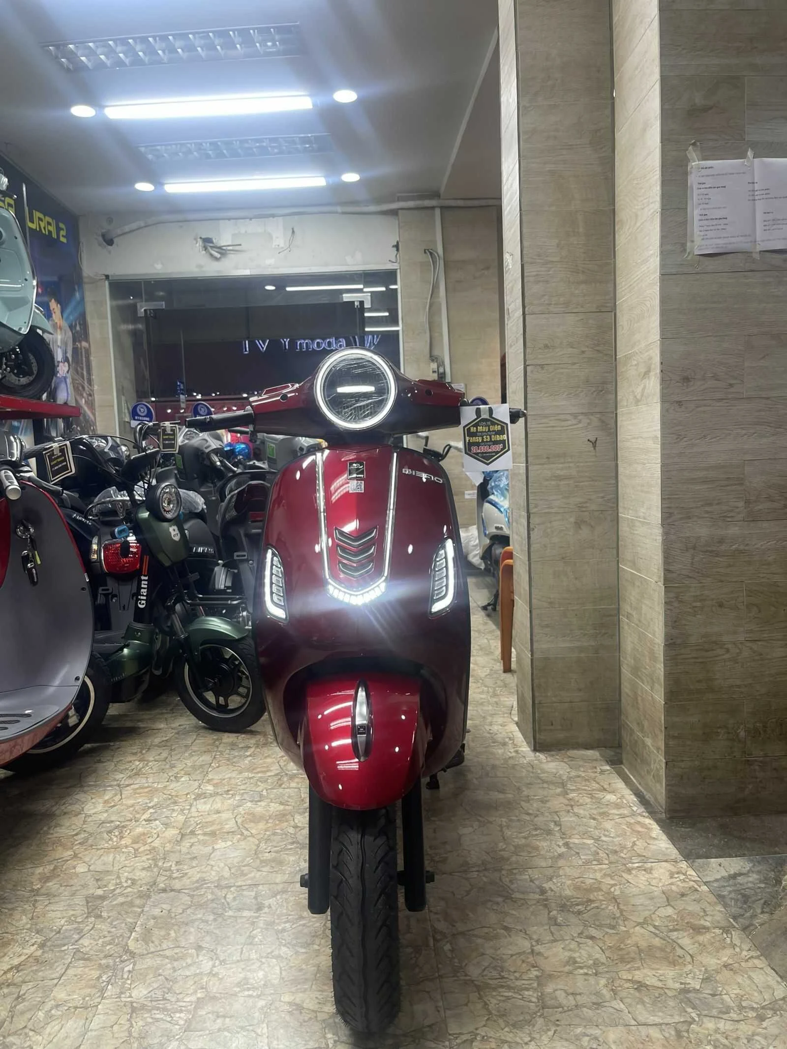 Xe Máy Điện Dibao Pansy Neo S3 - Xe điện Vivu