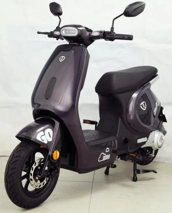 Xe Đạp Điện Tailg GR56 Đầy Đủ Giấy Tờ - Xe điện Vivu