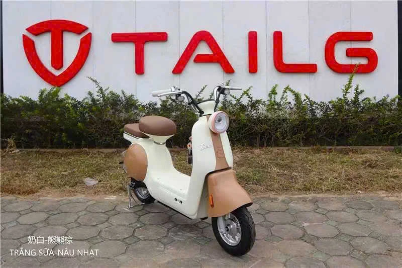 Xe Đạp Điện Tailg Princess JS50 (Đầy Đủ Giấy Tờ) - Xe điện Vivu