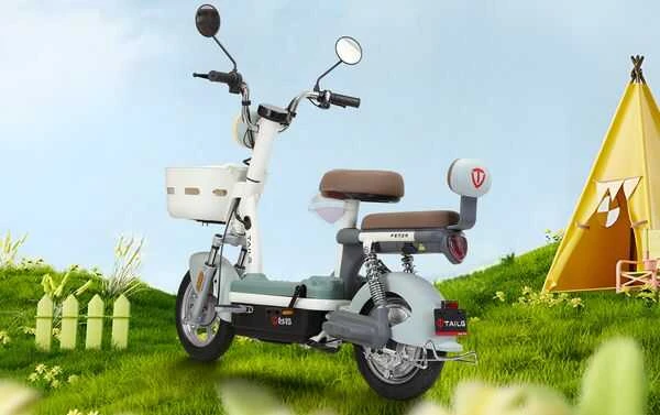 Xe Đạp Điện Tailg JY33 Mini Bike 4 ACQUY 13Ah 60km/1 lần sạc - Xe điện Vivu