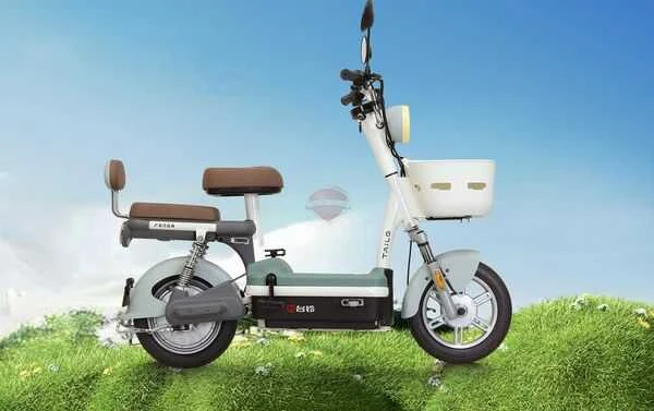Xe Đạp Điện Tailg JY33 Mini Bike 4 ACQUY 13Ah 60km/1 lần sạc - Xe điện Vivu