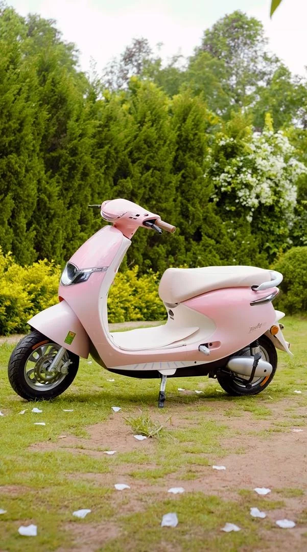 Xe Máy Điện Tailg Venus R53 6 Ắc Quy 23A 100km/1 Lần Sạc - Xe điện Vivu