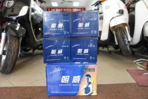 Bộ 4 Bình Ắc Quy Xe Điện 20Ah Thay tại nhà miễn phí 100% - Xe điện Vivu