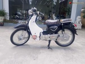 Xe Máy 50cc Cub New Vigor Ally - Xe điện Vivu