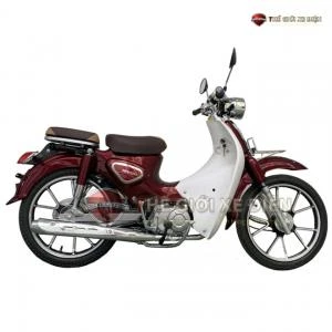 Xe Máy 50cc Cub New Vigor Ally Vành Đúc - Xe điện Vivu