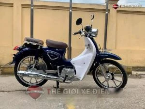 Xe Máy 50cc Cub New Vigor Ally Vành Đúc - Xe điện Vivu