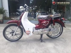 Xe Máy 50cc Cub New Vigor Ally Vành Đúc - Xe điện Vivu