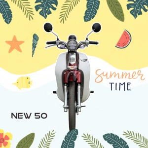 Xe Máy 50cc Cub New Vigor Ally Vành Đúc - Xe điện Vivu