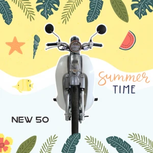 Xe Máy 50cc Cub New Vigor Ally Vành Đúc - Xe điện Vivu