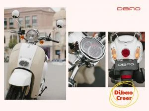 Xe Ga 50cc Dibao Creer Phanh Đĩa Chất Lượng Cao - Xe điện Vivu