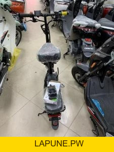 Xe Đạp Điện Gấp MiYiJiA Pin Litium 48V chạy 50km - Xe điện Vivu