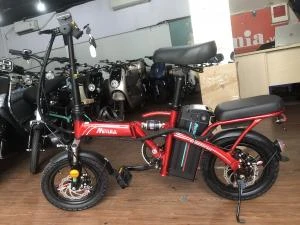 Xe Đạp Điện Gấp MiYiJiA Pin Litium 48V chạy 50km - Xe điện Vivu