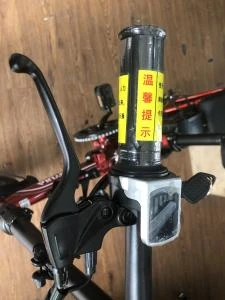 Xe Đạp Điện Gấp MiYiJiA Pin Litium 48V chạy 50km - Xe điện Vivu