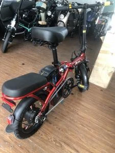 Xe Đạp Điện Gấp MiYiJiA Pin Litium 48V chạy 50km - Xe điện Vivu