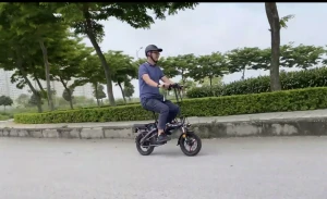 Xe Đạp Điện Gấp MiYiJiA Pin Litium 48V chạy 50km - Xe điện Vivu