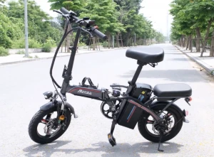 Xe Đạp Điện Gấp MiYiJiA Pin Litium 48V chạy 50km - Xe điện Vivu