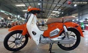 Xe Máy 50cc Cub Việt Thái Vành Đúc - Xe điện Vivu