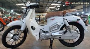 Xe Máy 50cc Cub Việt Thái Vành Đúc - Xe điện Vivu