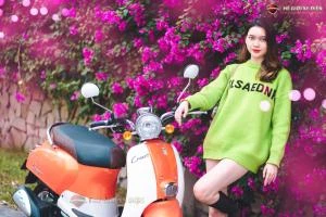 Xe Ga 50cc Dibao Creer Phanh Đĩa Chất Lượng Cao - Xe điện Vivu