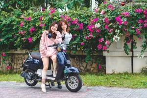 Xe Ga 50cc Dibao Creer Phanh Đĩa Chất Lượng Cao - Xe điện Vivu