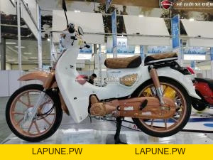 Xe Máy 50cc Cub New 50SE Vigor Ally Bản Đặc Biệt Giới Hạn - Xe điện Vivu