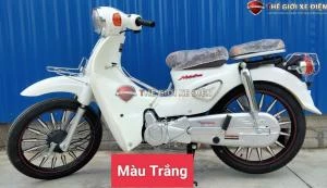 Xe Máy 50cc Cub Motor Thái Vành Đúc - Xe điện Vivu