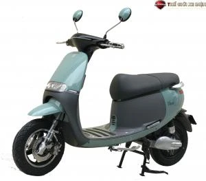Xe Máy Điện Dibao Gogo S5 Càng Nhôm Đúc - Xe điện Vivu