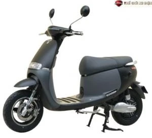 Xe Máy Điện Dibao Gogo S5 Càng Nhôm Đúc - Xe điện Vivu