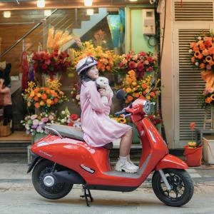 Xe Máy Điện VinFast Evo 200 Kèm Pin - Xe điện Vivu