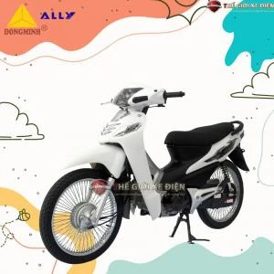 Xe Máy 50cc Wave Ally - Xe điện Vivu