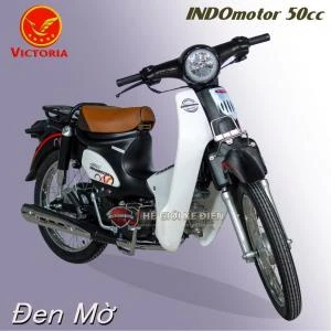 Xe Máy 50cc Cub Indo Victoria - Xe điện Vivu