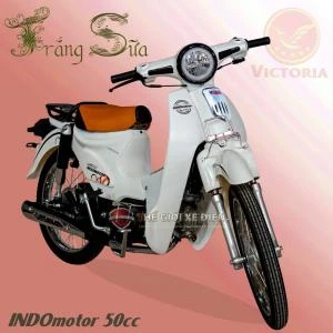 Xe Máy 50cc Cub Indo Victoria - Xe điện Vivu