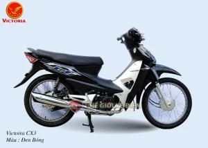 Xe Máy 50cc Wave CX3 Victoria - Xe điện Vivu