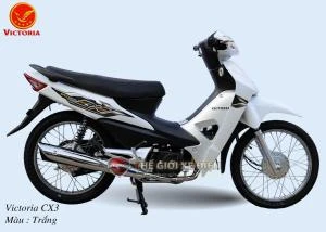 Xe Máy 50cc Wave CX3 Victoria - Xe điện Vivu