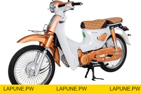 Xe Máy 50cc Cub New 50SE Vigor Ally Bản Đặc Biệt Giới Hạn - Xe điện Vivu