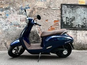 Xe Máy Điện VinFast Evo 200 Kèm Pin - Xe điện Vivu