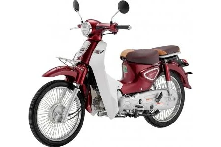 Xe Máy 50cc Cub New Vigor Ally 50SE - Xe điện Vivu