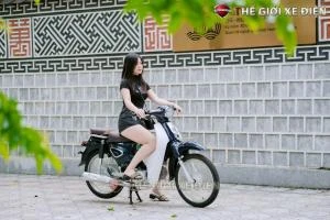 Xe Máy 50cc Cub New Vigor Ally 50SE - Xe điện Vivu