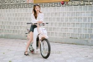 Xe Máy 50cc Cub New Vigor Ally 50SE - Xe điện Vivu