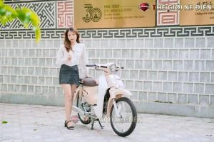 Xe Máy 50cc Cub New Vigor Ally 50SE - Xe điện Vivu