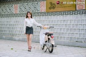 Xe Máy 50cc Cub New Vigor Ally 50SE - Xe điện Vivu